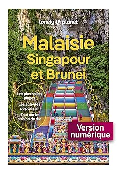 Malaisie, Singapour et Brunei 10ed (French Edition)
