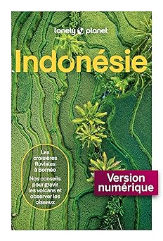 Indon?sie 8ed (French Edition)